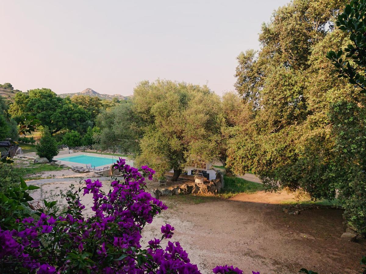Agriturismo Desole Monti Dış mekan fotoğraf