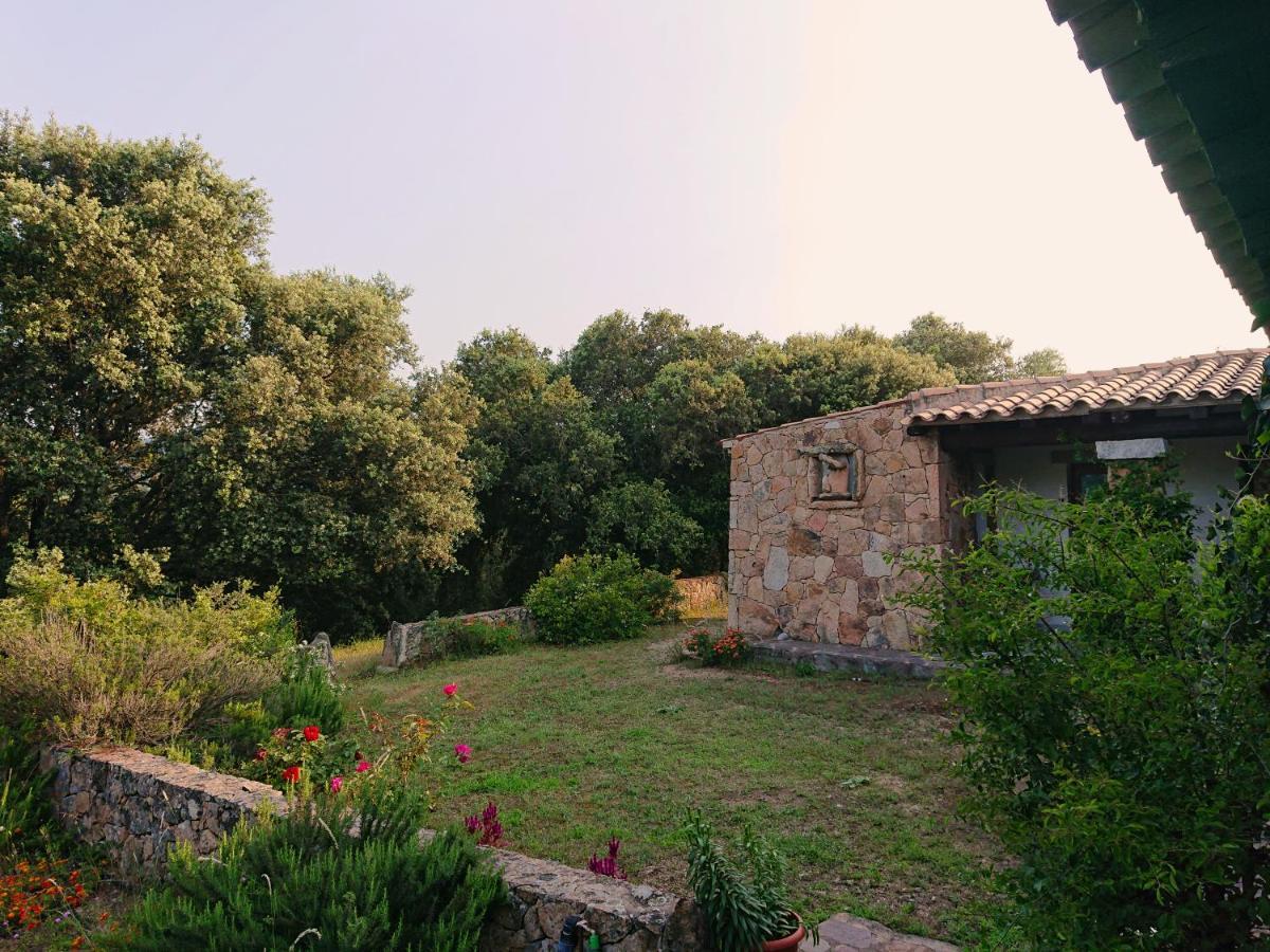 Agriturismo Desole Monti Dış mekan fotoğraf