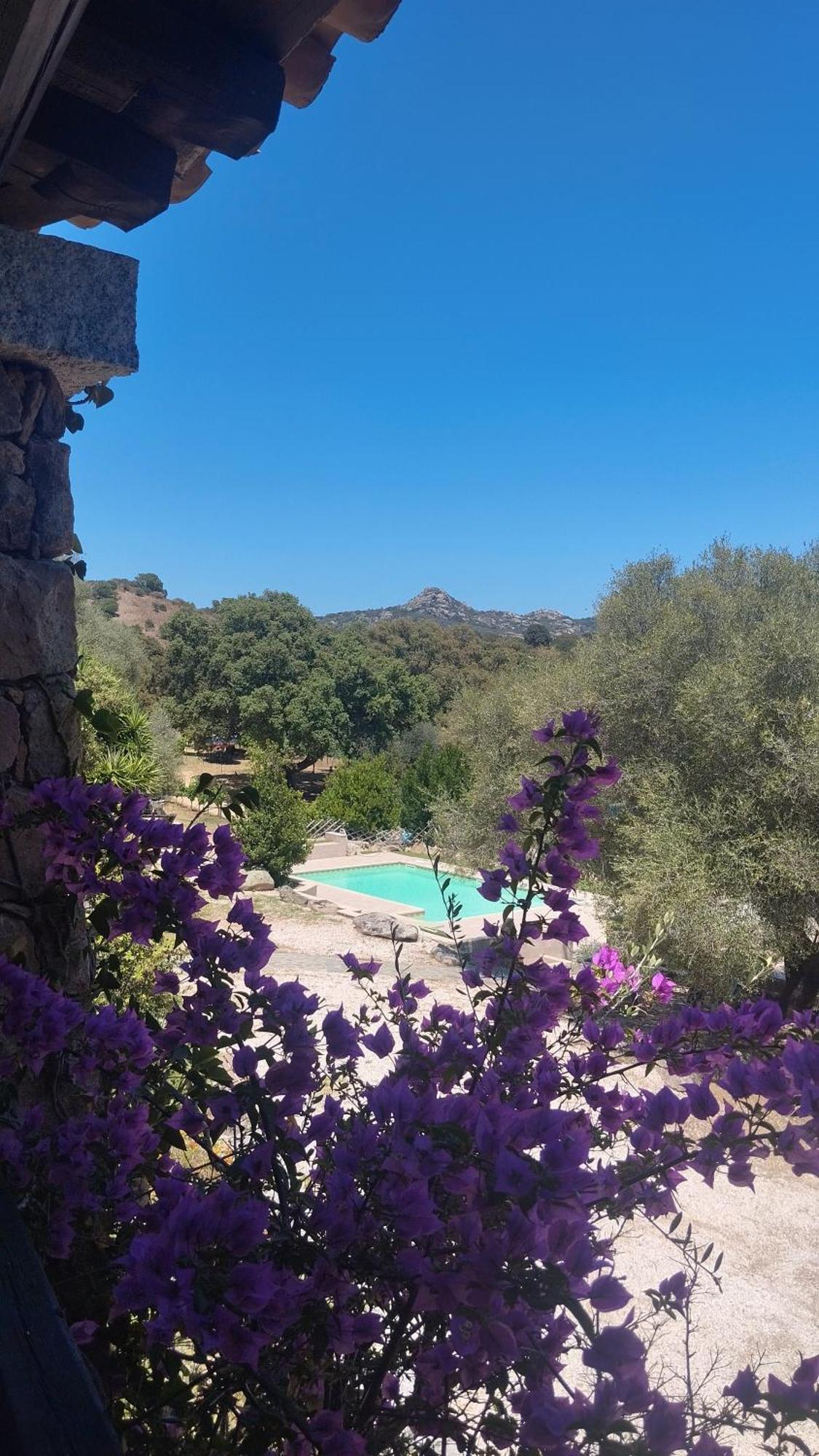 Agriturismo Desole Monti Dış mekan fotoğraf