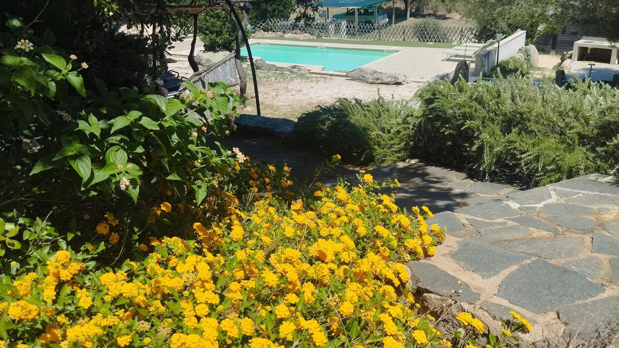 Agriturismo Desole Monti Dış mekan fotoğraf